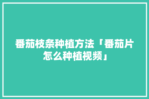 番茄枝条种植方法「番茄片怎么种植视频」 番茄枝条种植方法「番茄片怎么种植视频」 植物种类