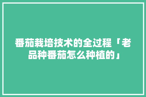 番茄栽培技术的全过程「老品种番茄怎么种植的」 番茄栽培技术的全过程「老品种番茄怎么种植的」 种植技巧