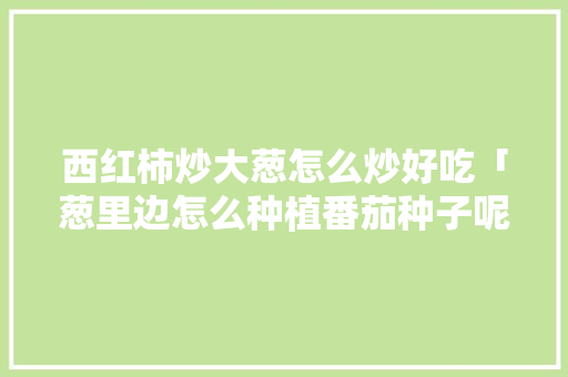 西红柿炒大葱怎么炒好吃「葱里边怎么种植番茄种子呢」