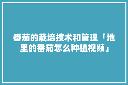 番茄的栽培技术和管理「地里的番茄怎么种植视频」 番茄的栽培技术和管理「地里的番茄怎么种植视频」 花朵知识