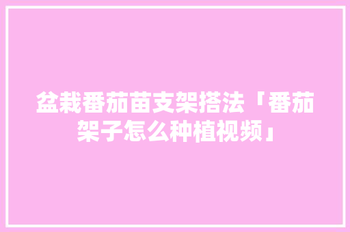 盆栽番茄苗支架搭法「番茄架子怎么种植视频」 盆栽番茄苗支架搭法「番茄架子怎么种植视频」 植物种类