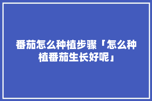 番茄怎么种植步骤「怎么种植番茄生长好呢」 番茄怎么种植步骤「怎么种植番茄生长好呢」 土壤施肥