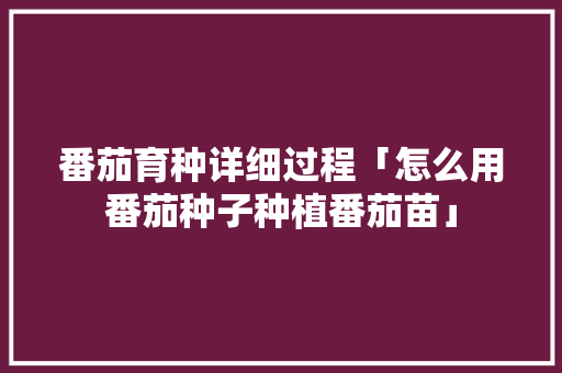 番茄育种详细过程「怎么用番茄种子种植番茄苗」 番茄育种详细过程「怎么用番茄种子种植番茄苗」 番茄病虫害防治