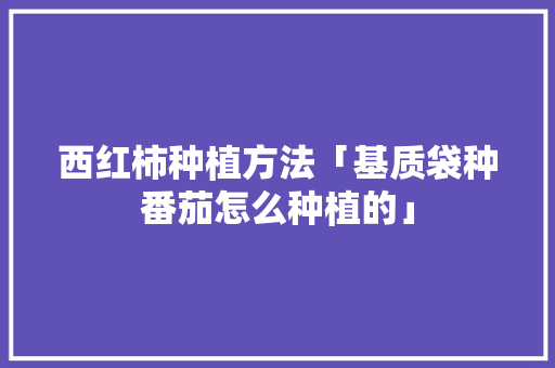 西红柿种植方法「基质袋种番茄怎么种植的」 西红柿种植方法「基质袋种番茄怎么种植的」 花朵知识