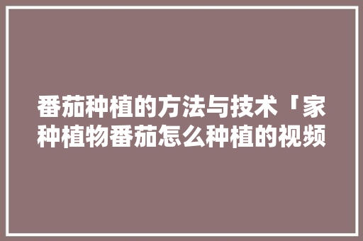 番茄种植的方法与技术「家种植物番茄怎么种植的视频」 番茄种植的方法与技术「家种植物番茄怎么种植的视频」 花朵知识