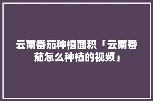 云南番茄种植面积「云南番茄怎么种植的视频」 云南番茄种植面积「云南番茄怎么种植的视频」 土壤施肥