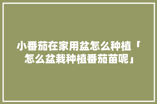 小番茄在家用盆怎么种植「怎么盆栽种植番茄苗呢」 花朵知识 小番茄在家用盆怎么种植「怎么盆栽种植番茄苗呢」 小番茄在家用盆怎么种植「怎么盆栽种植番茄苗呢」 花朵知识