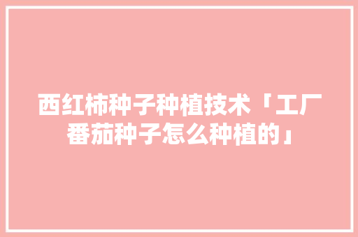 西红柿种子种植技术「工厂番茄种子怎么种植的」 西红柿种子种植技术「工厂番茄种子怎么种植的」 种植技巧