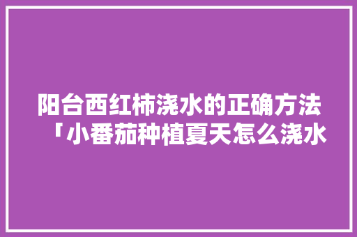 阳台西红柿浇水的正确方法「小番茄种植夏天怎么浇水呢」 阳台西红柿浇水的正确方法「小番茄种植夏天怎么浇水呢」 植物种类