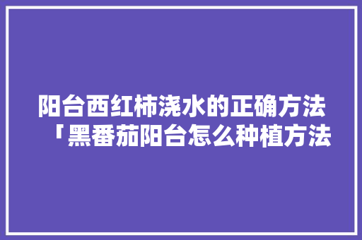 阳台西红柿浇水的正确方法「黑番茄阳台怎么种植方法视频」 阳台西红柿浇水的正确方法「黑番茄阳台怎么种植方法视频」 番茄种植技巧