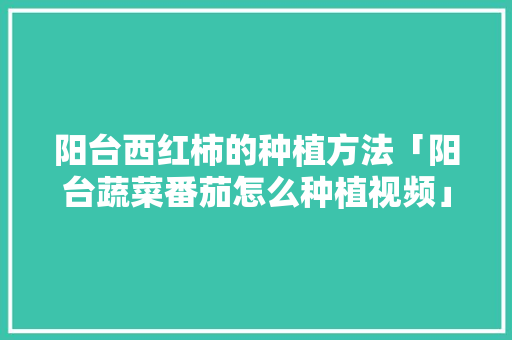 阳台西红柿的种植方法「阳台蔬菜番茄怎么种植视频」 阳台西红柿的种植方法「阳台蔬菜番茄怎么种植视频」 番茄病虫害防治