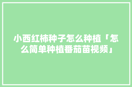 小西红柿种子怎么种植「怎么简单种植番茄苗视频」 小西红柿种子怎么种植「怎么简单种植番茄苗视频」 植物种类