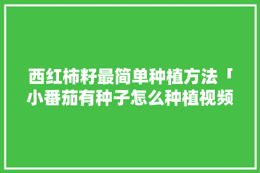 西红柿籽最简单种植方法「小番茄有种子怎么种植视频」 西红柿籽最简单种植方法「小番茄有种子怎么种植视频」 土壤施肥