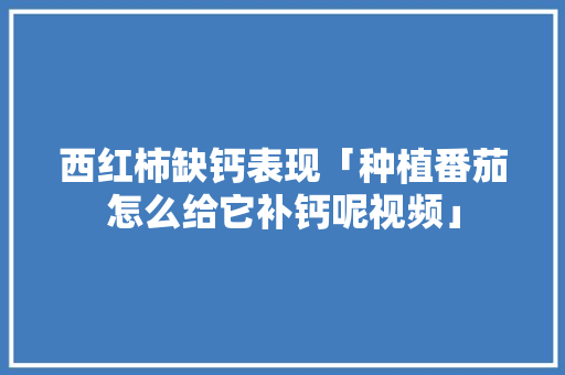 西红柿缺钙表现「种植番茄怎么给它补钙呢视频」 西红柿缺钙表现「种植番茄怎么给它补钙呢视频」 植物种类