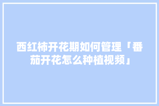 西红柿开花期如何管理「番茄开花怎么种植视频」 西红柿开花期如何管理「番茄开花怎么种植视频」 种植技巧