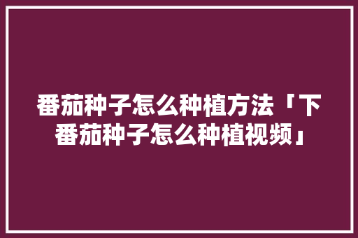 番茄种子怎么种植方法「下番茄种子怎么种植视频」 番茄种子怎么种植方法「下番茄种子怎么种植视频」 土壤施肥