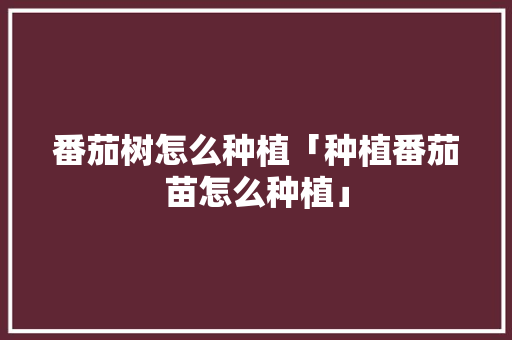 番茄树怎么种植「种植番茄苗怎么种植」 番茄树怎么种植「种植番茄苗怎么种植」 农业常识
