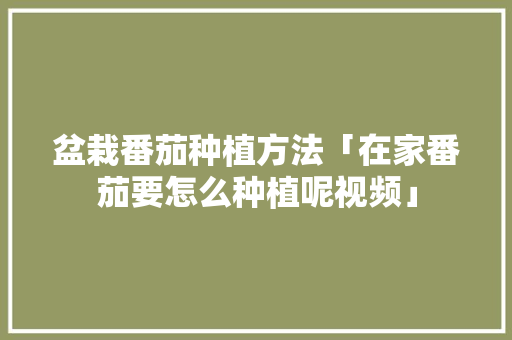 盆栽番茄种植方法「在家番茄要怎么种植呢视频」 盆栽番茄种植方法「在家番茄要怎么种植呢视频」 番茄病虫害防治