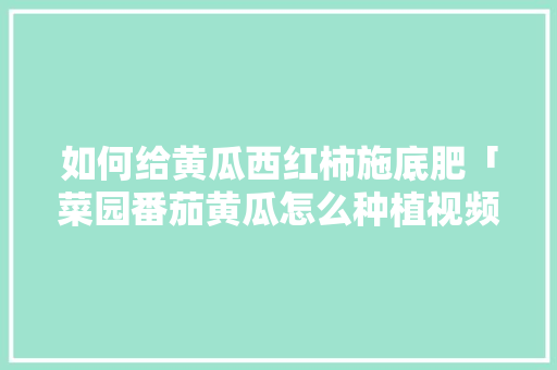 如何给黄瓜西红柿施底肥「菜园番茄黄瓜怎么种植视频」 如何给黄瓜西红柿施底肥「菜园番茄黄瓜怎么种植视频」 植物种类