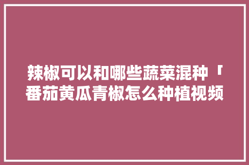 辣椒可以和哪些蔬菜混种「番茄黄瓜青椒怎么种植视频」 辣椒可以和哪些蔬菜混种「番茄黄瓜青椒怎么种植视频」 农业常识