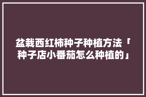盆栽西红柿种子种植方法「种子店小番茄怎么种植的」 盆栽西红柿种子种植方法「种子店小番茄怎么种植的」 农业常识