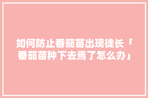 如何防止番茄苗出现徒长「番茄苗种下去焉了怎么办」 如何防止番茄苗出现徒长「番茄苗种下去焉了怎么办」 农业常识