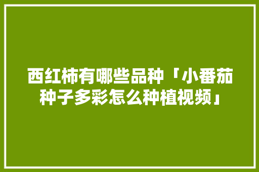 西红柿有哪些品种「小番茄种子多彩怎么种植视频」 西红柿有哪些品种「小番茄种子多彩怎么种植视频」 番茄病虫害防治