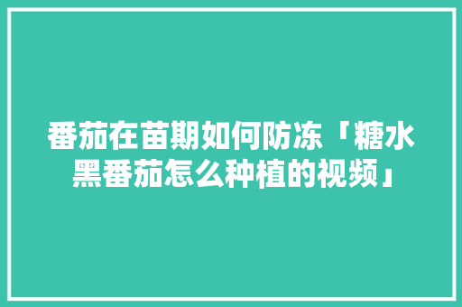 番茄在苗期如何防冻「糖水黑番茄怎么种植的视频」 番茄在苗期如何防冻「糖水黑番茄怎么种植的视频」 种植技巧