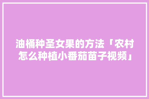 油桶种圣女果的方法「农村怎么种植小番茄苗子视频」 花朵知识 油桶种圣女果的方法「农村怎么种植小番茄苗子视频」 油桶种圣女果的方法「农村怎么种植小番茄苗子视频」 花朵知识