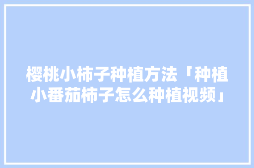 樱桃小柿子种植方法「种植小番茄柿子怎么种植视频」 樱桃小柿子种植方法「种植小番茄柿子怎么种植视频」 土壤施肥
