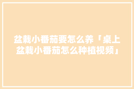 盆栽小番茄要怎么养「桌上盆栽小番茄怎么种植视频」 盆栽小番茄要怎么养「桌上盆栽小番茄怎么种植视频」 花朵知识