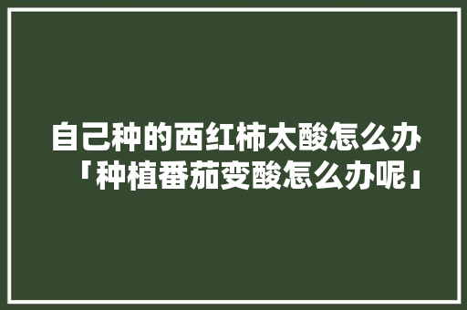 自己种的西红柿太酸怎么办「种植番茄变酸怎么办呢」 土壤施肥 自己种的西红柿太酸怎么办「种植番茄变酸怎么办呢」 自己种的西红柿太酸怎么办「种植番茄变酸怎么办呢」 土壤施肥