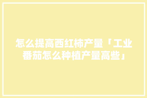 怎么提高西红柿产量「工业番茄怎么种植产量高些」 番茄种植技巧 怎么提高西红柿产量「工业番茄怎么种植产量高些」 怎么提高西红柿产量「工业番茄怎么种植产量高些」 番茄种植技巧