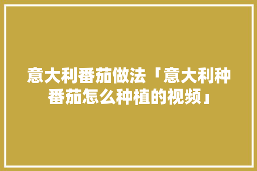 意大利番茄做法「意大利种番茄怎么种植的视频」