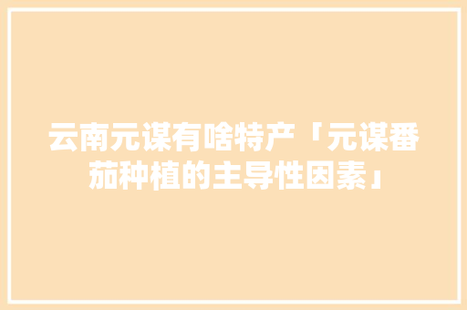 云南元谋有啥特产「元谋番茄种植的主导性因素」
