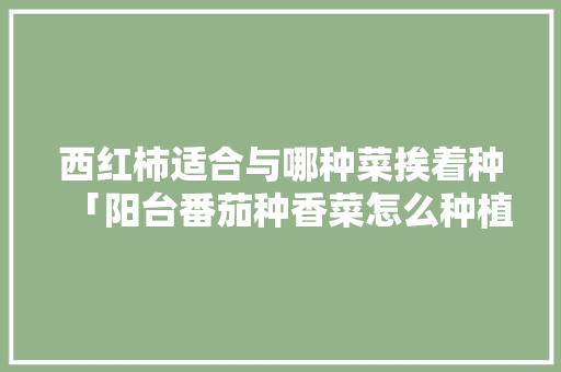 西红柿适合与哪种菜挨着种「阳台番茄种香菜怎么种植视频」 西红柿适合与哪种菜挨着种「阳台番茄种香菜怎么种植视频」 番茄病虫害防治