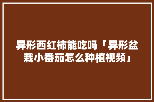 异形西红柿能吃吗「异形盆栽小番茄怎么种植视频」 异形西红柿能吃吗「异形盆栽小番茄怎么种植视频」 番茄种植技巧