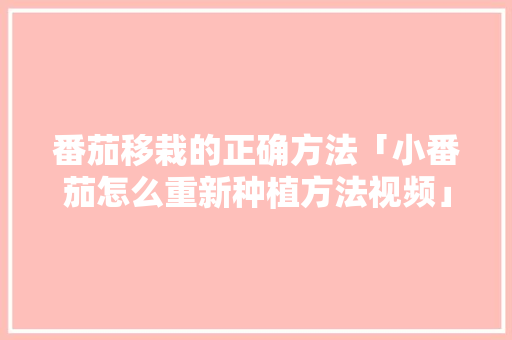 番茄移栽的正确方法「小番茄怎么重新种植方法视频」 番茄移栽的正确方法「小番茄怎么重新种植方法视频」 土壤施肥