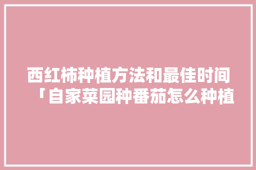 西红柿种植方法和最佳时间「自家菜园种番茄怎么种植视频」 西红柿种植方法和最佳时间「自家菜园种番茄怎么种植视频」 植物种类