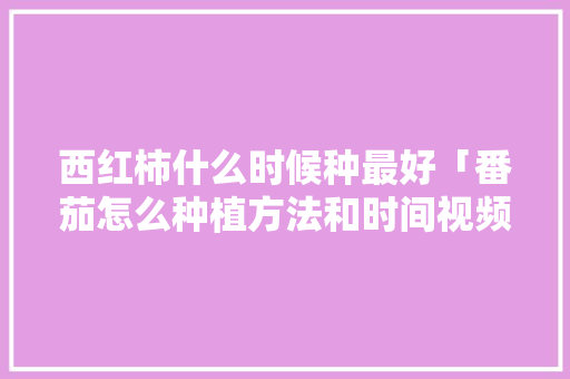 西红柿什么时候种最好「番茄怎么种植方法和时间视频」 西红柿什么时候种最好「番茄怎么种植方法和时间视频」 番茄病虫害防治