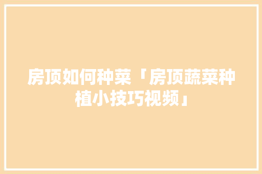房顶如何种菜「房顶蔬菜种植小技巧视频」 房顶如何种菜「房顶蔬菜种植小技巧视频」 土壤施肥