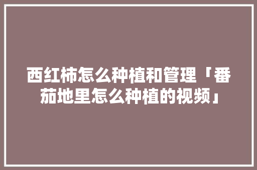 西红柿怎么种植和管理「番茄地里怎么种植的视频」 西红柿怎么种植和管理「番茄地里怎么种植的视频」 番茄病虫害防治