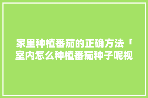 家里种植番茄的正确方法「室内怎么种植番茄种子呢视频」 家里种植番茄的正确方法「室内怎么种植番茄种子呢视频」 花朵知识