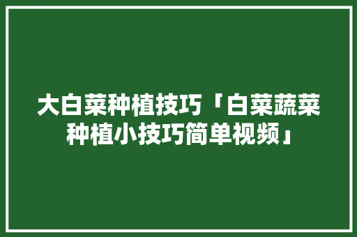 大白菜种植技巧「白菜蔬菜种植小技巧简单视频」