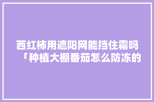 西红柿用遮阳网能挡住霜吗「种植大棚番茄怎么防冻的」 西红柿用遮阳网能挡住霜吗「种植大棚番茄怎么防冻的」 土壤施肥