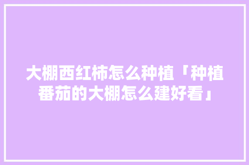 大棚西红柿怎么种植「种植番茄的大棚怎么建好看」 大棚西红柿怎么种植「种植番茄的大棚怎么建好看」 土壤施肥