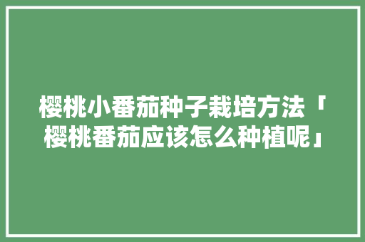 樱桃小番茄种子栽培方法「樱桃番茄应该怎么种植呢」 樱桃小番茄种子栽培方法「樱桃番茄应该怎么种植呢」 农业常识