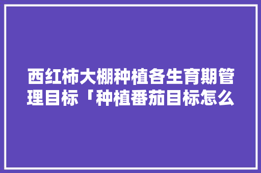 西红柿大棚种植各生育期管理目标「种植番茄目标怎么写好呢作文」