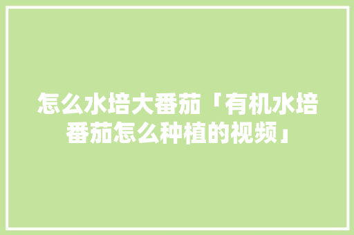 怎么水培大番茄「有机水培番茄怎么种植的视频」 怎么水培大番茄「有机水培番茄怎么种植的视频」 番茄病虫害防治