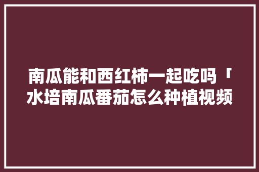 南瓜能和西红柿一起吃吗「水培南瓜番茄怎么种植视频」 南瓜能和西红柿一起吃吗「水培南瓜番茄怎么种植视频」 种植技巧